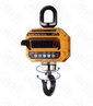 ВЕСЫ КРАНОВЫЕ CAS 5 THD CASTON III