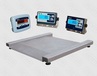 ВЕСОВАЯ ПЛАТФОРМА PROMAS PM4R-10 С ИНДИКАТОРОМ
